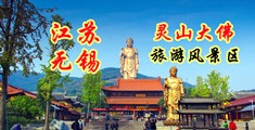 成人免费激情网江苏无锡灵山大佛旅游风景区