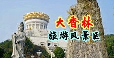 美女大鸡巴操骚逼色视频中国浙江-绍兴大香林旅游风景区